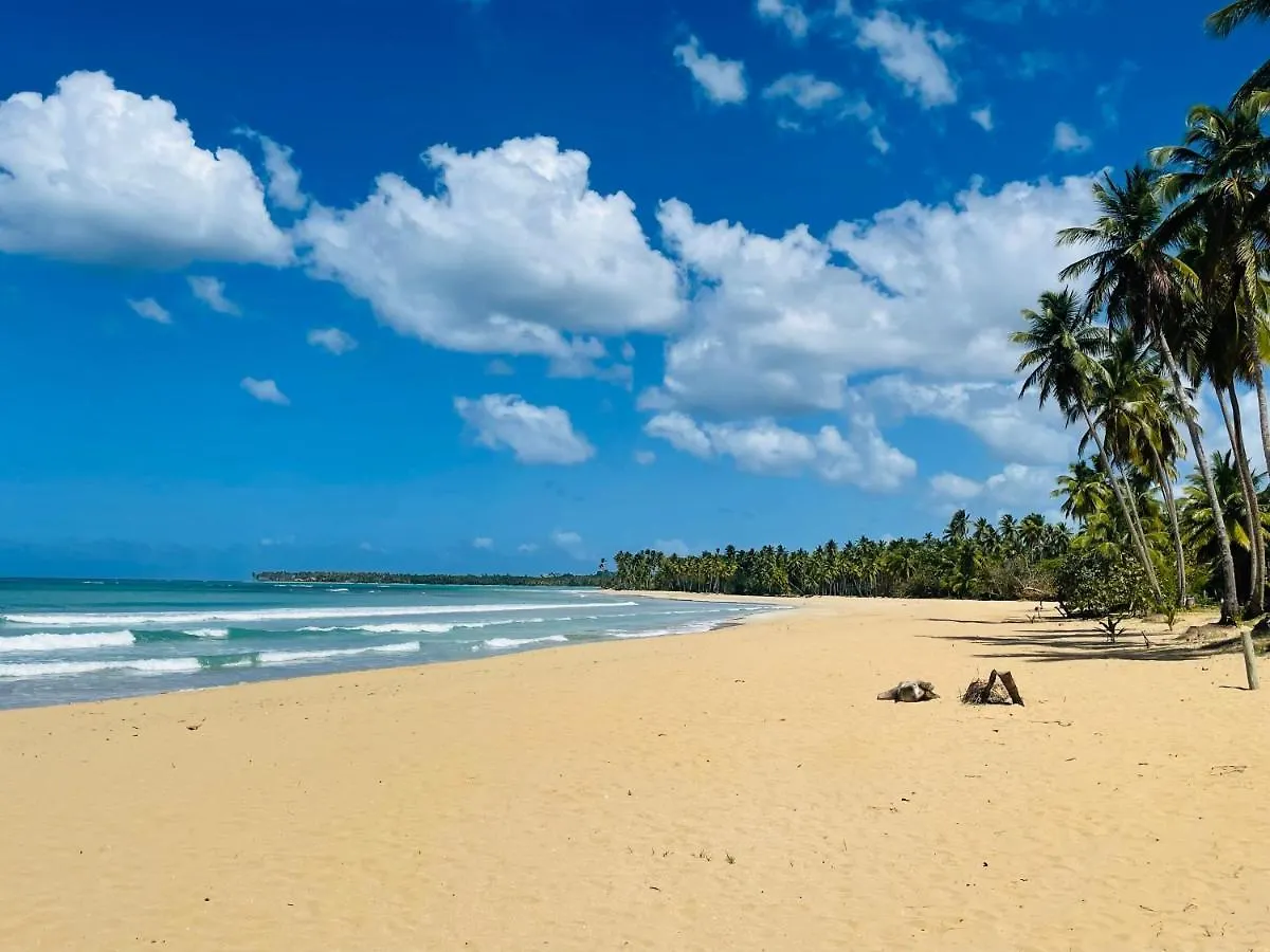 Villa Tortuga, Guest House Private Bungalow, Private Pool Las Terrenas Dominican Republic